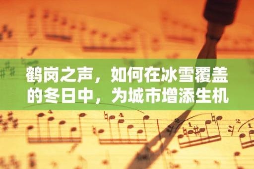 鹤岗之声，如何在冰雪覆盖的冬日中，为城市增添生机？