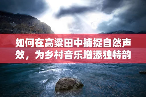 如何在高粱田中捕捉自然声效，为乡村音乐增添独特韵味？
