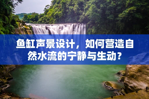 鱼缸声景设计，如何营造自然水流的宁静与生动？