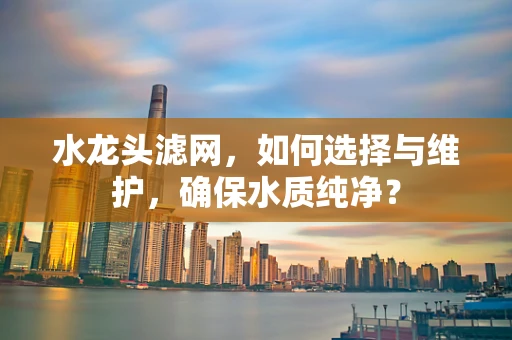 水龙头滤网，如何选择与维护，确保水质纯净？