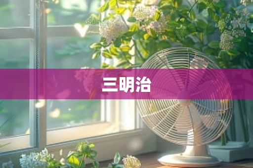 三明治