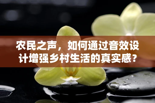 农民之声，如何通过音效设计增强乡村生活的真实感？