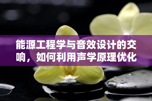 能源工程学与音效设计的交响，如何利用声学原理优化能源利用？