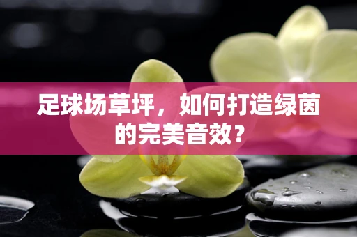 足球场草坪，如何打造绿茵的完美音效？
