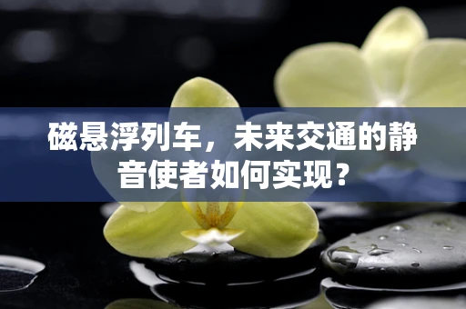 磁悬浮列车，未来交通的静音使者如何实现？