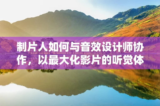 制片人如何与音效设计师协作，以最大化影片的听觉体验？
