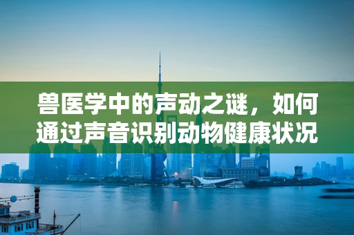 兽医学中的声动之谜，如何通过声音识别动物健康状况？