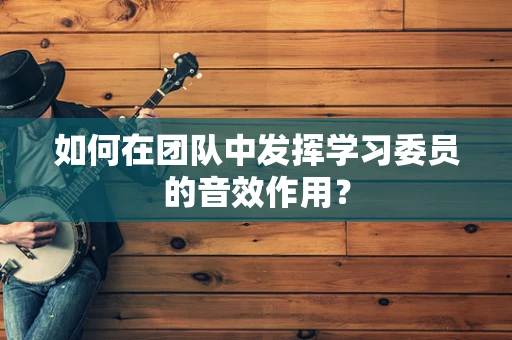 如何在团队中发挥学习委员的音效作用？