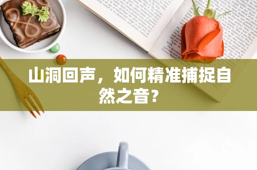 山洞回声，如何精准捕捉自然之音？