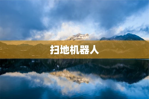 扫地机器人