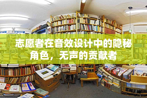 志愿者在音效设计中的隐秘角色，无声的贡献者