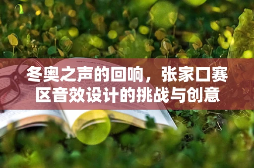 冬奥之声的回响，张家口赛区音效设计的挑战与创意