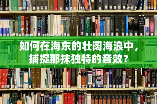 如何在海东的壮阔海浪中，捕捉那抹独特的音效？