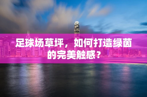 足球场草坪，如何打造绿茵的完美触感？