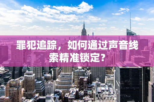 罪犯追踪，如何通过声音线索精准锁定？