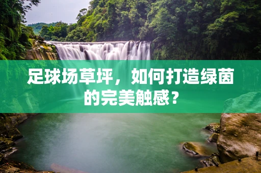 足球场草坪，如何打造绿茵的完美触感？