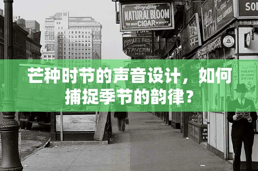 芒种时节的声音设计，如何捕捉季节的韵律？