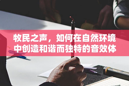 牧民之声，如何在自然环境中创造和谐而独特的音效体验？