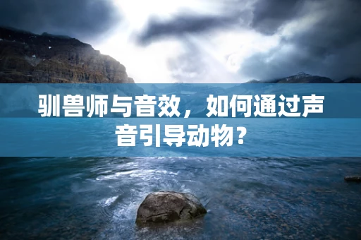 驯兽师与音效，如何通过声音引导动物？