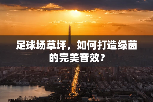 足球场草坪，如何打造绿茵的完美音效？