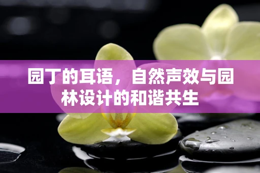 园丁的耳语，自然声效与园林设计的和谐共生
