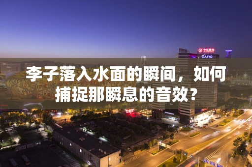 李子落入水面的瞬间，如何捕捉那瞬息的音效？