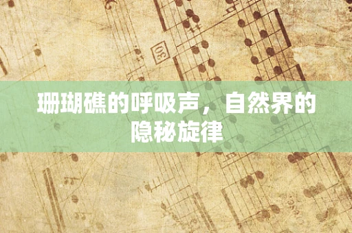 珊瑚礁的呼吸声，自然界的隐秘旋律