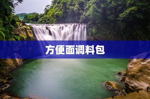 方便面调料包