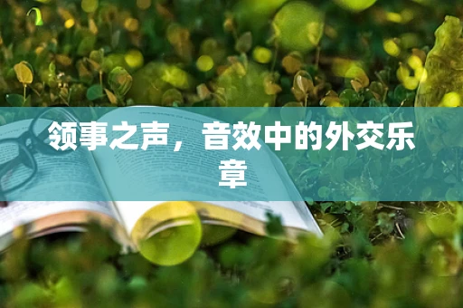 领事之声，音效中的外交乐章