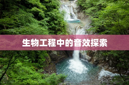 生物工程中的音效探索