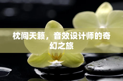 枕间天籁，音效设计师的奇幻之旅