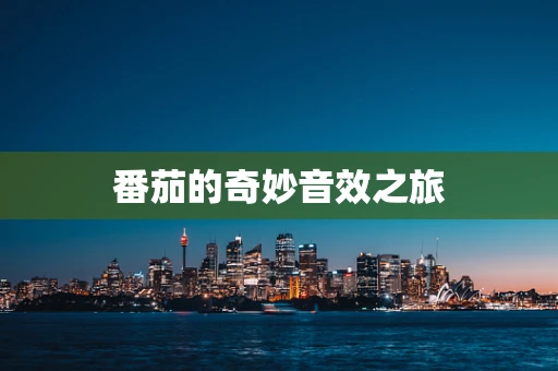 番茄的奇妙音效之旅