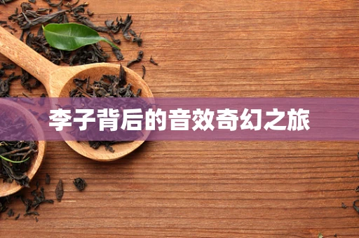 李子背后的音效奇幻之旅