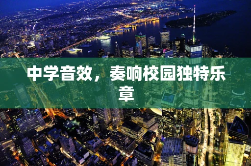 中学音效，奏响校园独特乐章