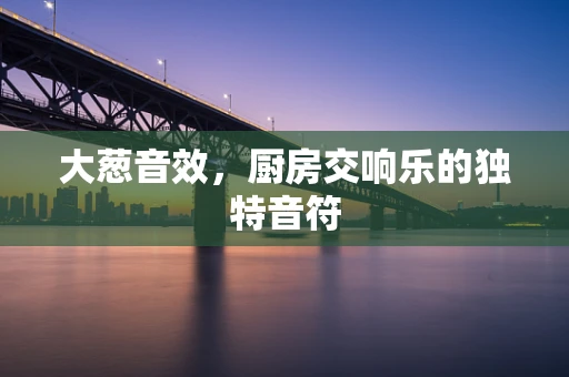 大葱音效，厨房交响乐的独特音符