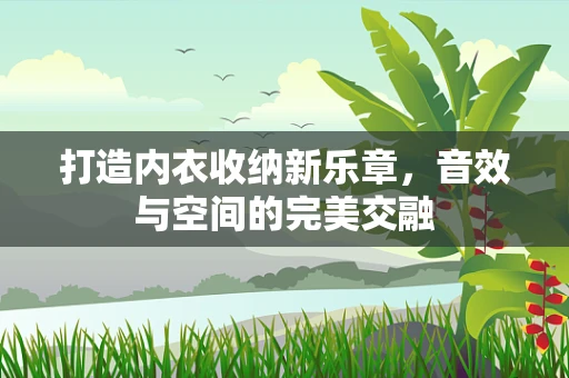 打造内衣收纳新乐章，音效与空间的完美交融