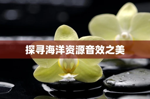 探寻海洋资源音效之美