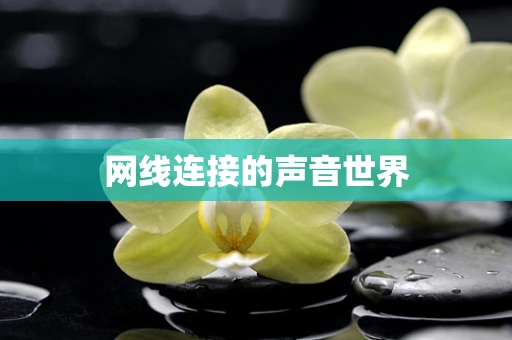 网线连接的声音世界
