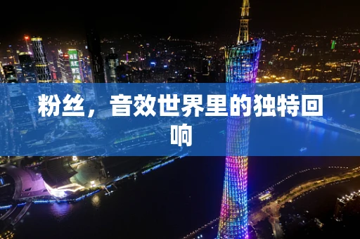 粉丝，音效世界里的独特回响