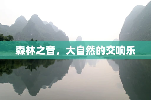 森林之音，大自然的交响乐