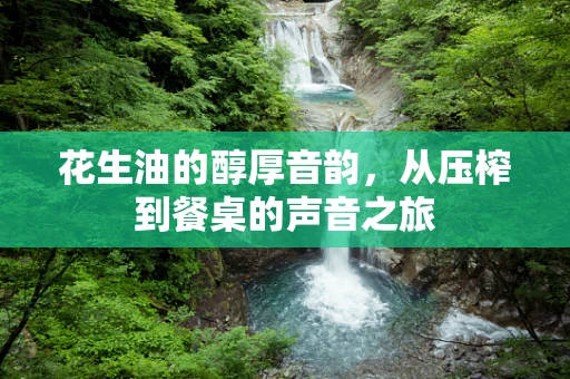 花生油的醇厚音韵，从压榨到餐桌的声音之旅