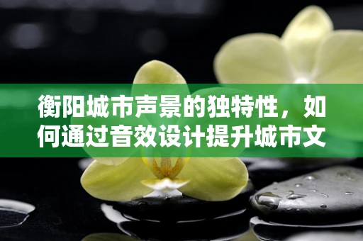 衡阳城市声景的独特性，如何通过音效设计提升城市文化氛围？