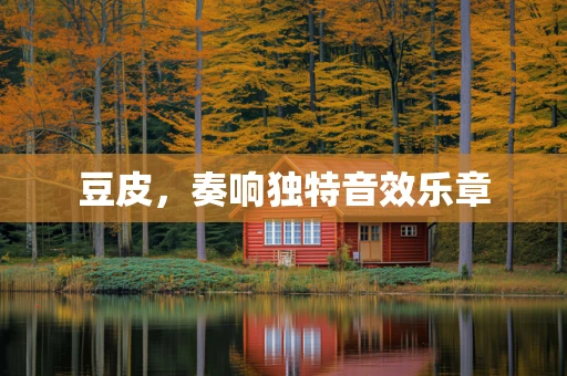 豆皮，奏响独特音效乐章