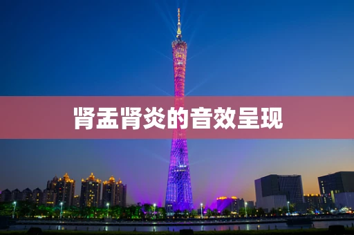 肾盂肾炎的音效呈现