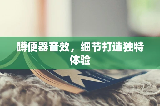 蹲便器音效，细节打造独特体验