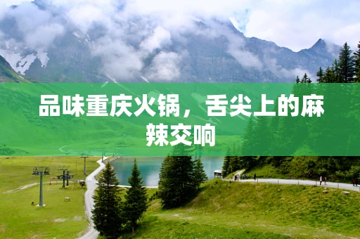 品味重庆火锅，舌尖上的麻辣交响