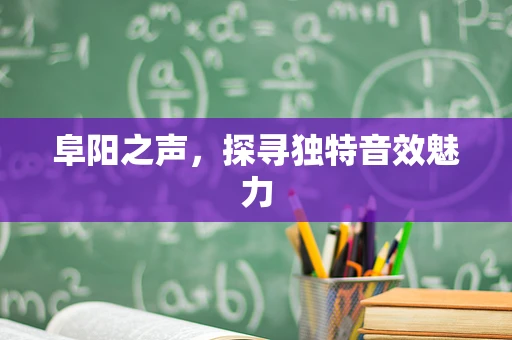 阜阳之声，探寻独特音效魅力