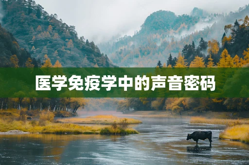 医学免疫学中的声音密码