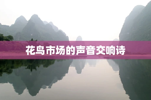 花鸟市场的声音交响诗