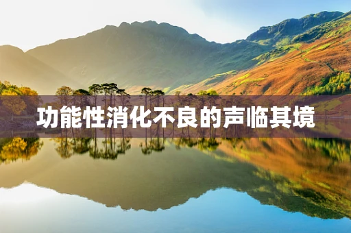 功能性消化不良的声临其境